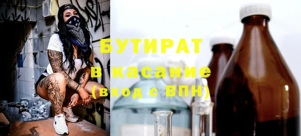 твердый Бородино