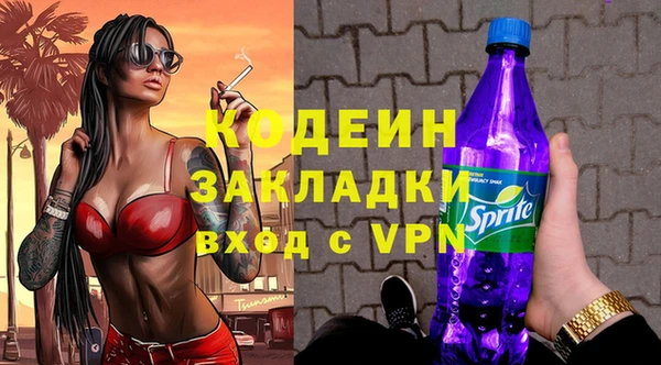 твердый Бородино