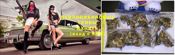 гашик Верхнеуральск
