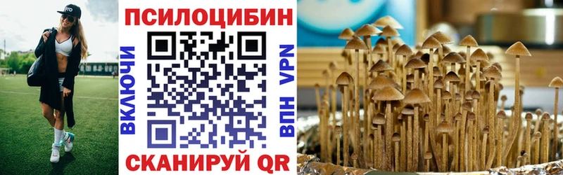 Псилоцибиновые грибы мухоморы  наркотики  Выборг 